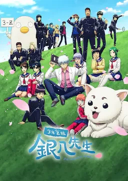 3年Z组银八老师 海报
