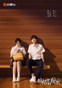 暗格里的秘密 海报